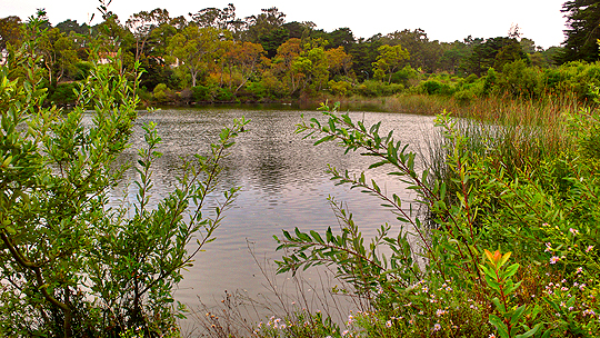 mountain-lake