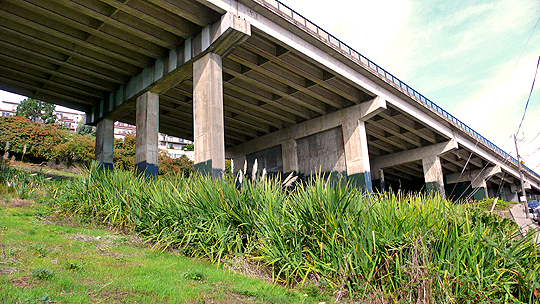 The overpass at Market Street, Precita Creek