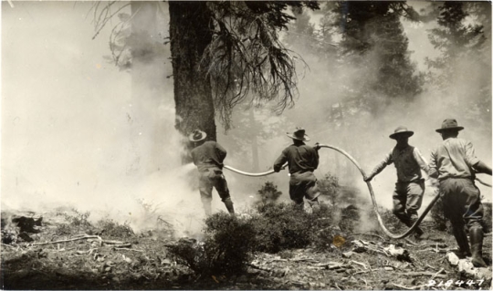 1933 Fire in Sutro Forest, San Francisco