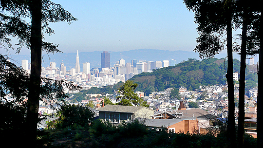 Skyline view from Sutro Forest