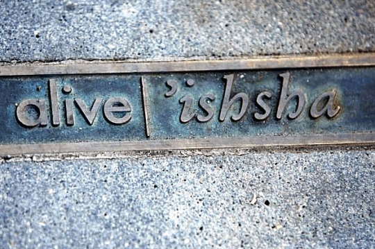 "Alive/'ishsh" by Jana Asenbrennerova / The Chronicle
