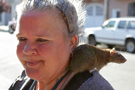 Morning Walk With Bonita, San Francisco