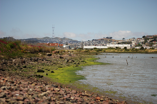 Yosemite Slough, San Francisco; photo by Spots Unknown