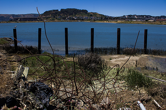 South Basin, Rebar & Posts, San Francisco